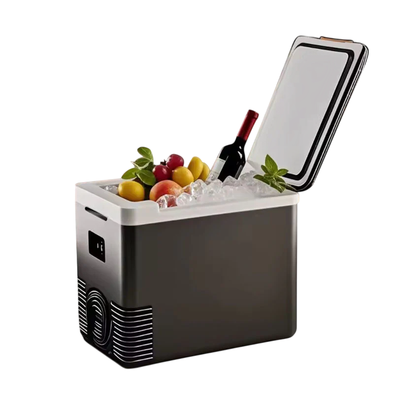Friggolix 10L Dual-Mode Portable Refrigerator for Car & Home