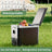 Friggolix 10L Dual-Mode Portable Refrigerator for Car & Home