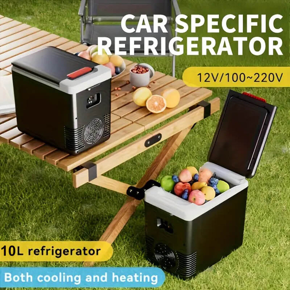 Friggolix 10L Dual-Mode Portable Refrigerator for Car & Home