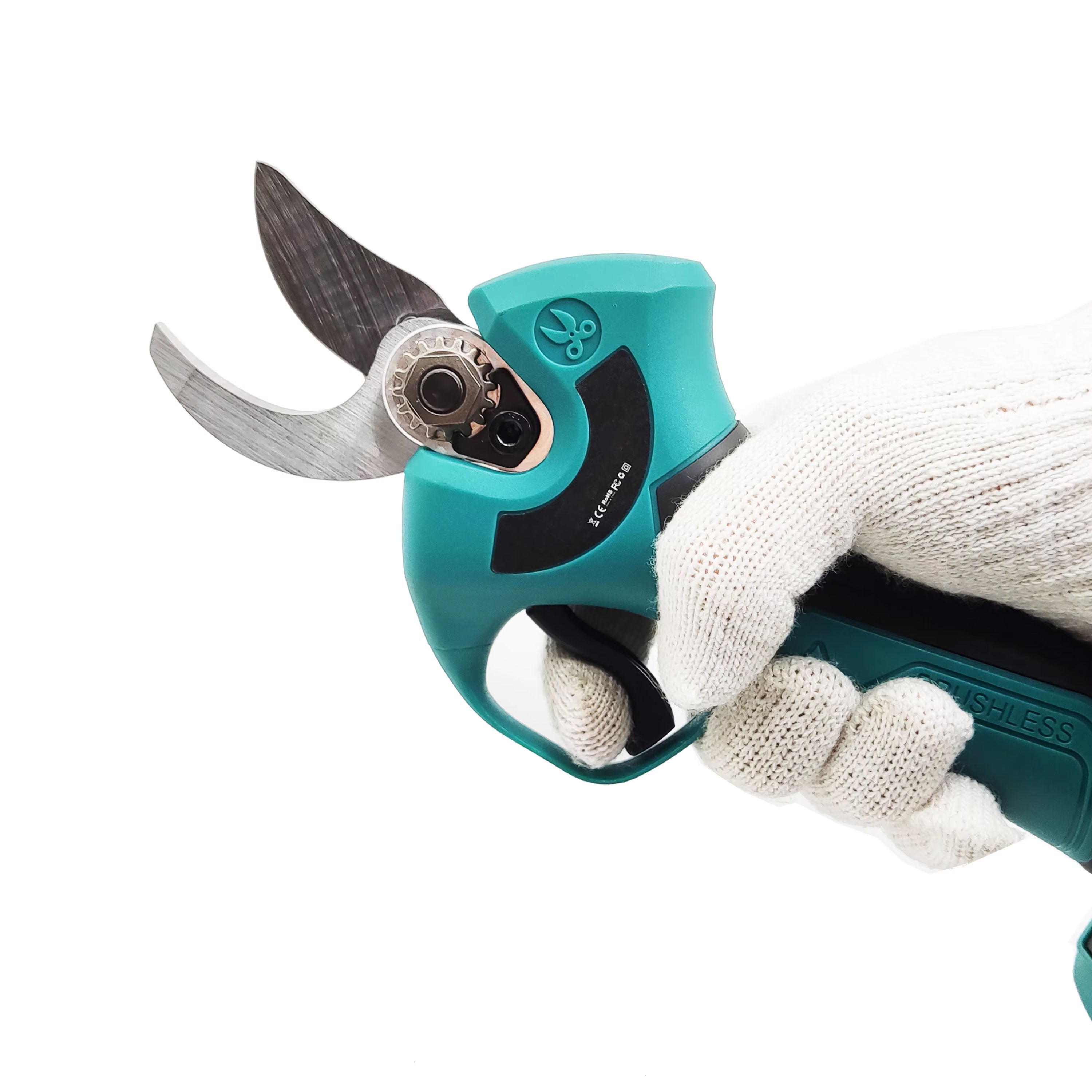 EdgePrune
