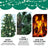 FestivPine 1