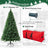 FestivPine