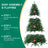 FestivPine 1