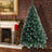 FestivPine
