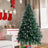 FestivPine 1
