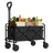 Fotticart 2