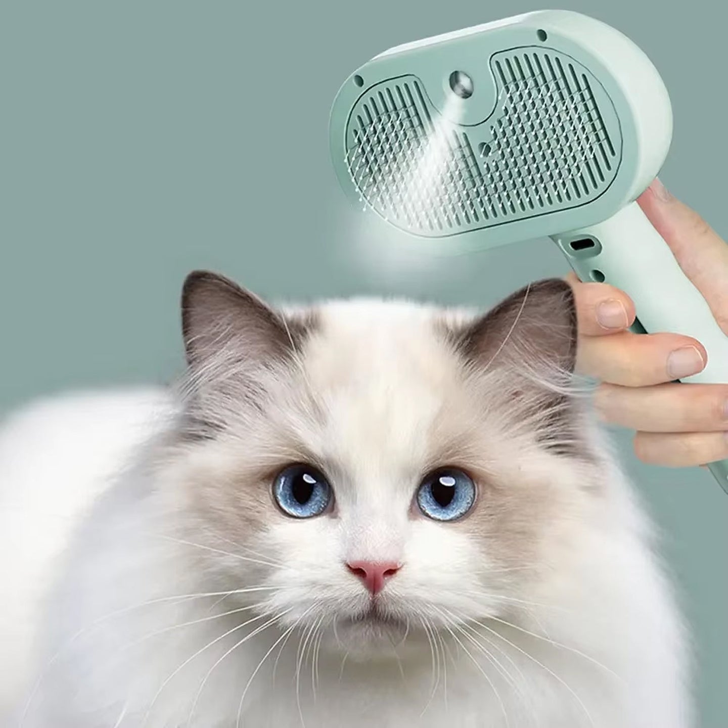 FurrKitti