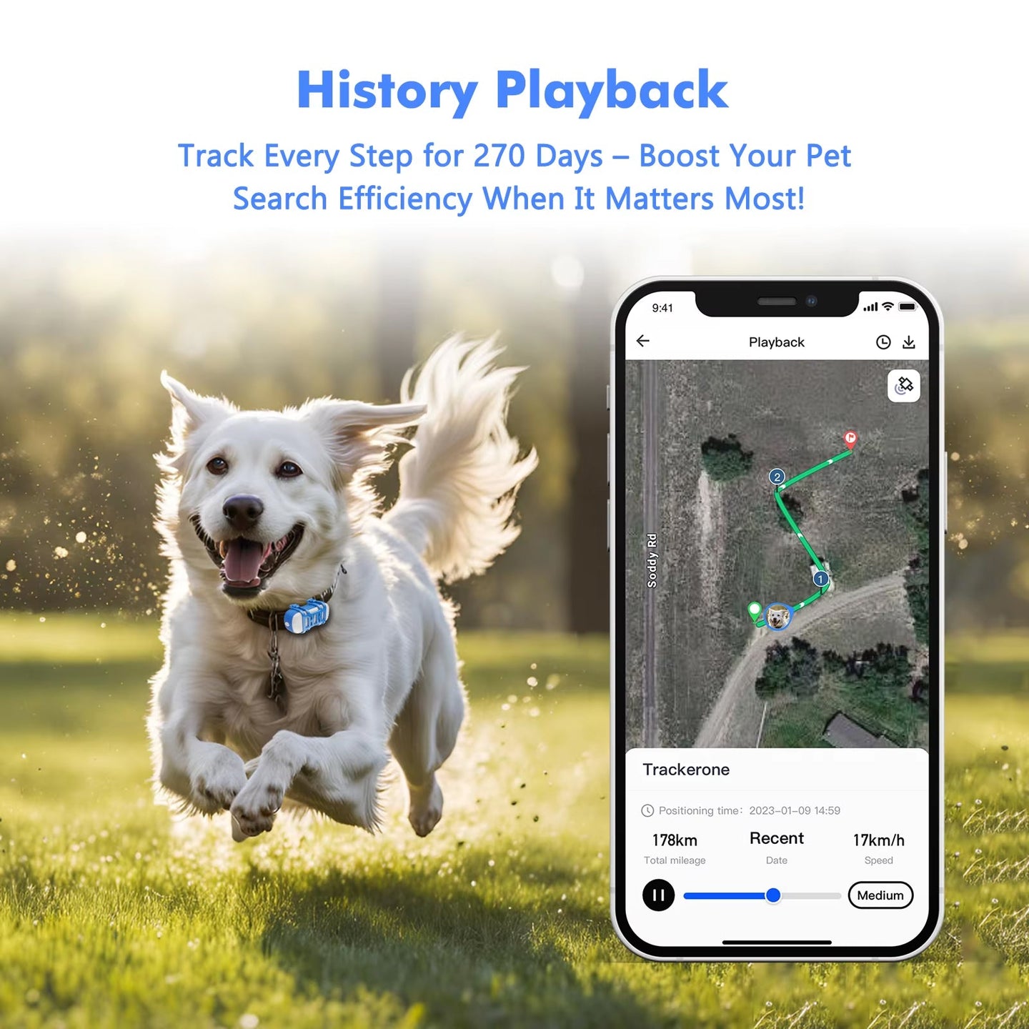PurrGPS 2.0