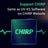 GriRadion