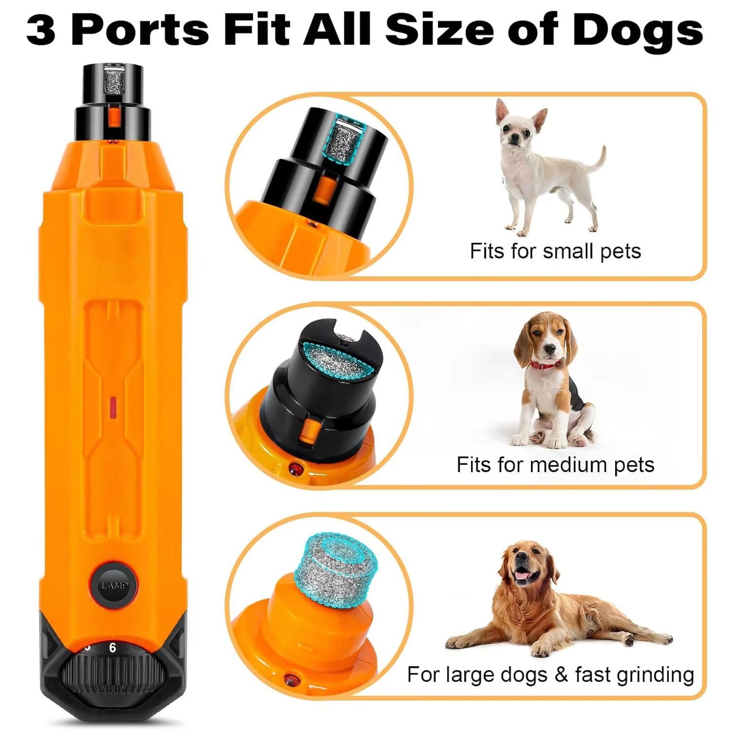 GrinPaw 1