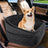 PawsGeu