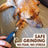 PuppiClaw 2.0 - 2
