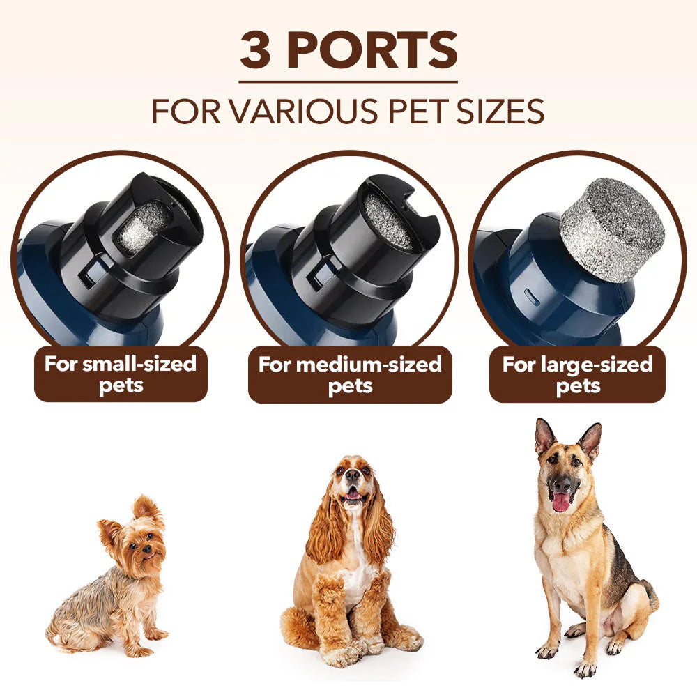 PuppiClaw 2.0 - 1