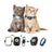 PurrGPS