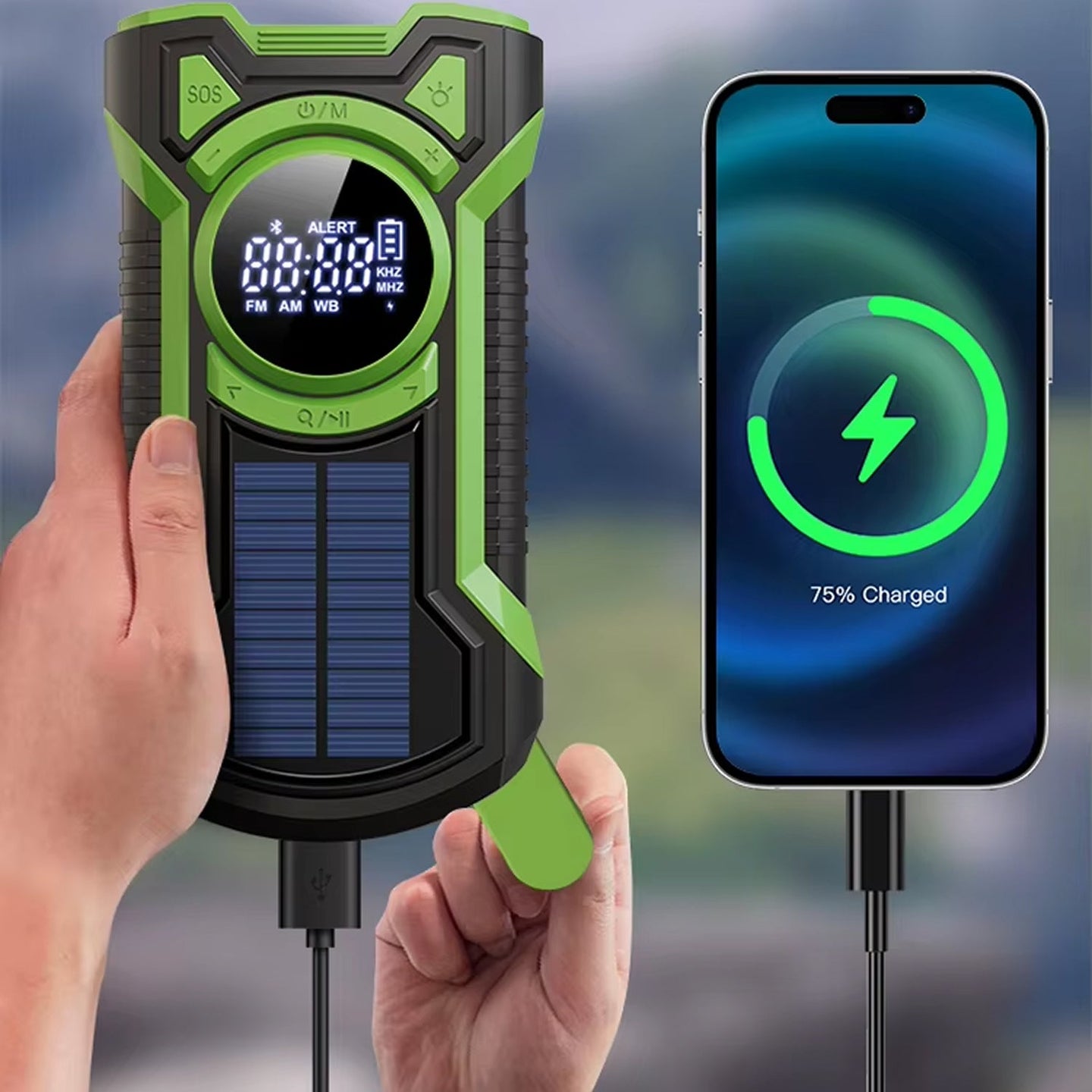SigziVox 3