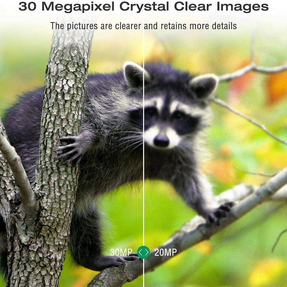 Trailaxzi 1