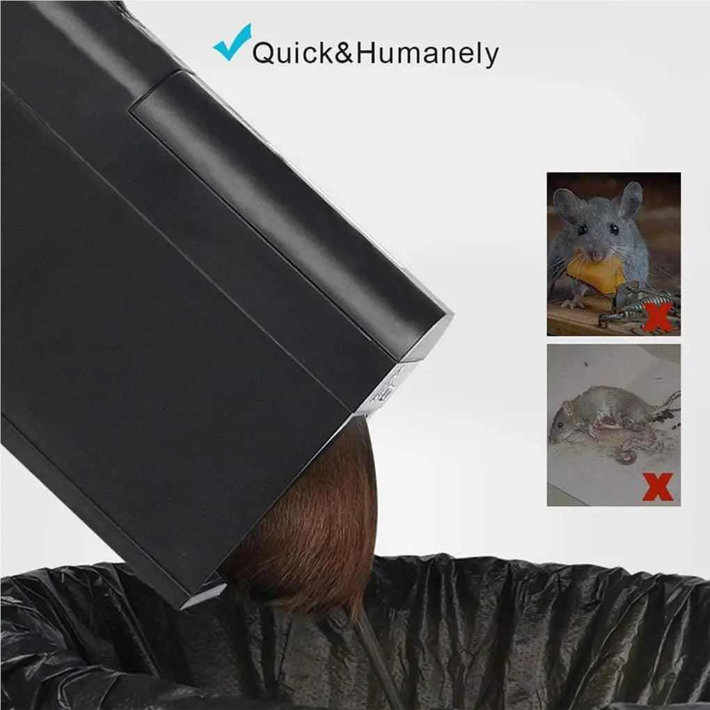 ChipyTake 1