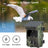 Wildsnap v2 - 1