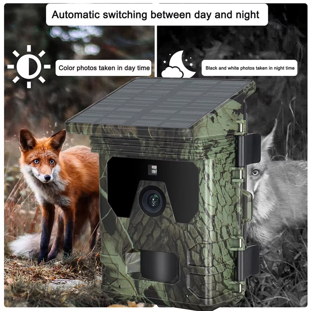 Wildsnap v2 - 8