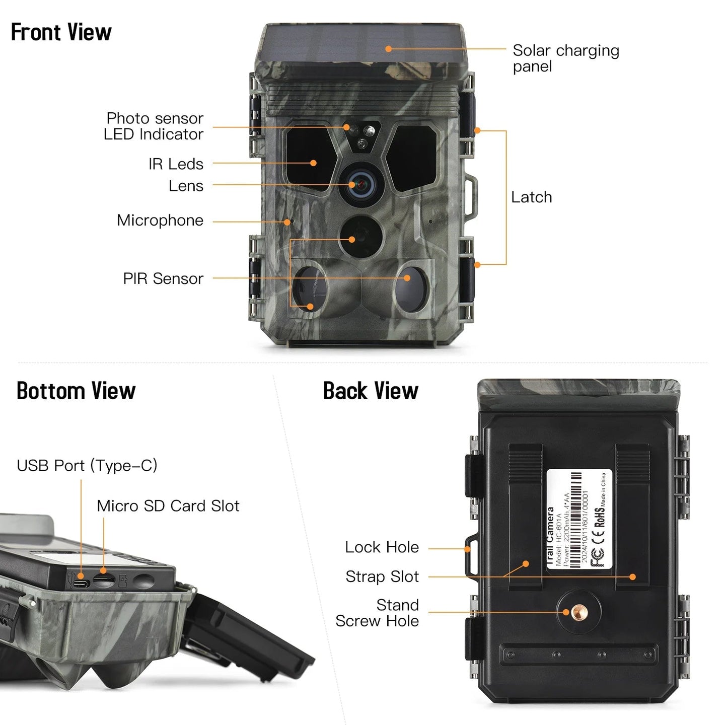 Wildsnap v3 - 1