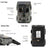 Wildsnap v3 - 1