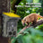 Wildsnap v3