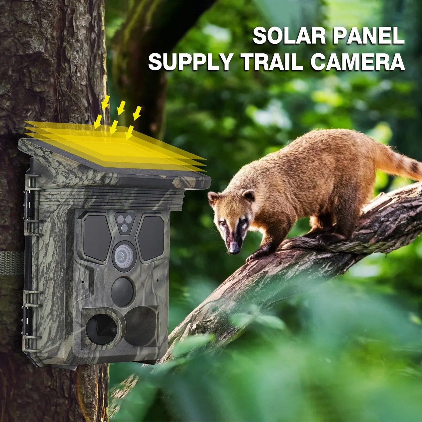 Wildsnap v3 - 1