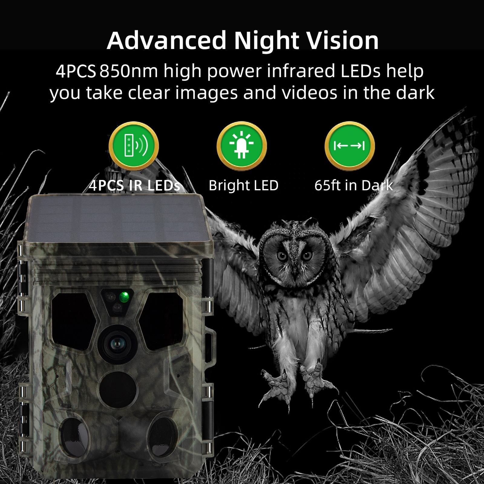 Wildsnap v3 - 1