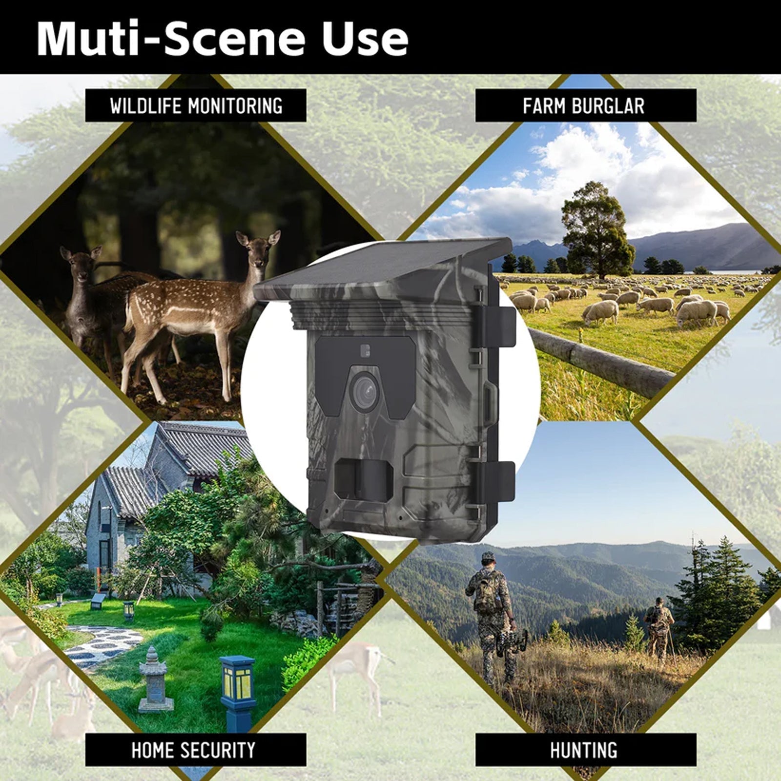 Wildsnap v3 - 1