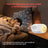 WNSleep 1